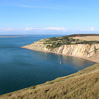Buy canvas prints of View over Alum Bay from the Isle of Wight Needles  by Carmen Green