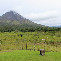 Buy canvas prints of Arenal Volcano National Park, Costa Rica by Carmen Green