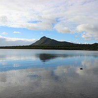 Buy canvas prints of Mountain reflection in the lake, Mauritius by Carmen Green