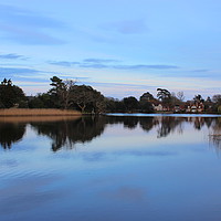 Buy canvas prints of Beaulieu river before sunset, New Forest National  by Carmen Green