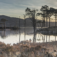 Buy canvas prints of Refelctions at Loch Assynt by Peter Scott