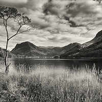 Buy canvas prints of Lone tree at Buttermere by Peter Scott