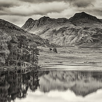 Buy canvas prints of Blea Tarn & a moment of still by Peter Scott