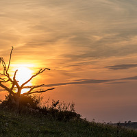 Buy canvas prints of Sunset At Old Winchester Hill by Colin Stock