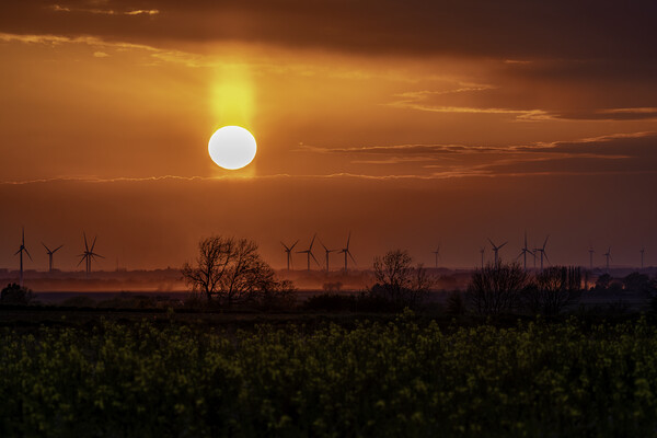 Sunset behind Tick Fen Windfarm, 30th April 2021 Picture Board by Andrew Sharpe