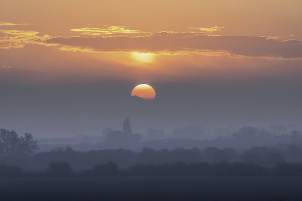 Misty dawn over fenland, 1st May 2021 Picture Board by Andrew Sharpe