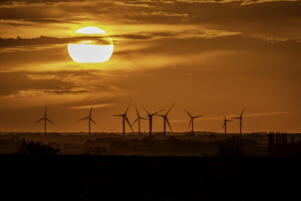 Sunset behind Tick Fen Windfarm, 5th May 2021 Picture Board by Andrew Sharpe