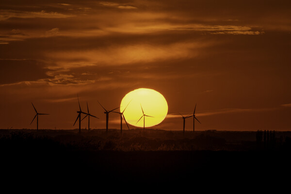 Sunset behind Tick Fen Windfarm, 5th May 2021 Picture Board by Andrew Sharpe