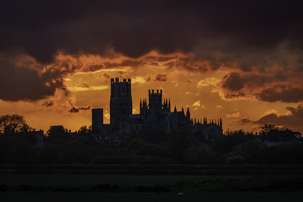 Illuminated Glory of Ely Cathedral Picture Board by Andrew Sharpe