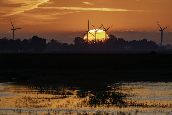 Sunset behind Tick Fen windfarm, 30th May 2021 Picture Board by Andrew Sharpe