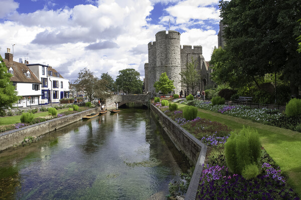 River Stour, Canterbury Picture Board by Andrew Sharpe