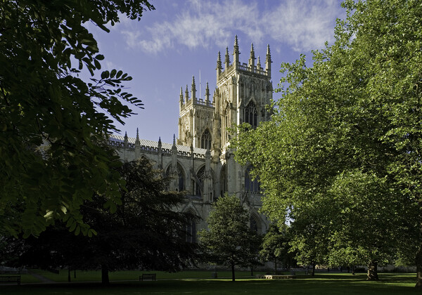 York Minster from Dean's Park Picture Board by Andrew Sharpe