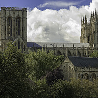 Buy canvas prints of York Minster from the City Walls by Andrew Sharpe