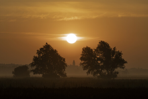 Sunrise over Sutton, Cambridgeshire, from the 100 Foot Bank Picture Board by Andrew Sharpe
