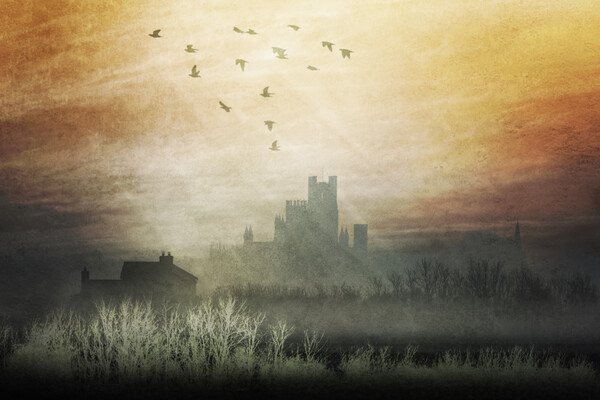 Dawn behind Ely Cathedral Picture Board by Andrew Sharpe