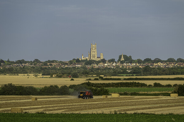 Harvest time in Cambridgeshire Picture Board by Andrew Sharpe