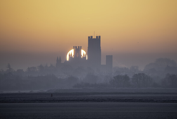 Dawn behind Ely Cathedral, 31st January 2019 Picture Board by Andrew Sharpe