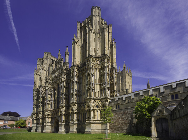 Wells Cathedral, Somerset Picture Board by Andrew Sharpe
