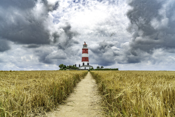 Happisburgh Lighthouse, 21st August 2021 Picture Board by Andrew Sharpe