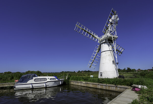Thurne dyke drainage mill Picture Board by Andrew Sharpe