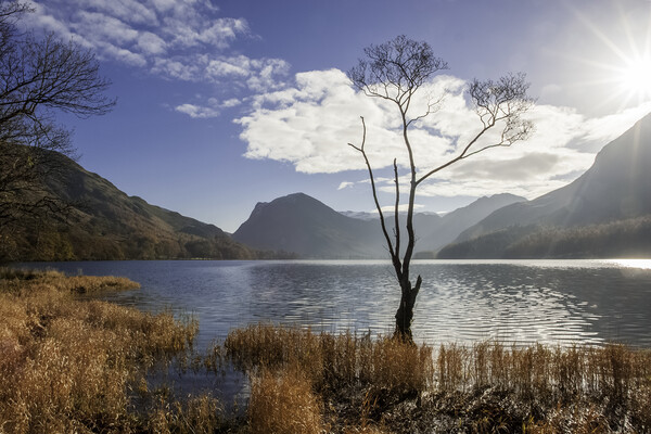 Buttermere, Lake Distict Picture Board by Andrew Sharpe
