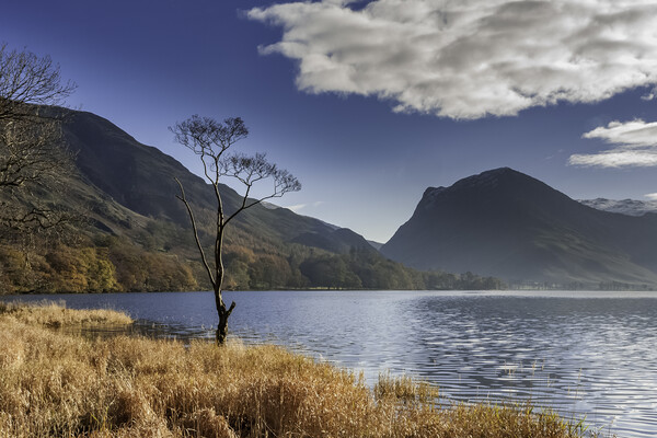 Buttermere, Lake Distict Picture Board by Andrew Sharpe