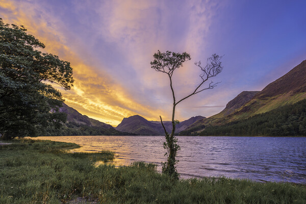 Dawn over Buttermere, 3rd September 2017 Picture Board by Andrew Sharpe