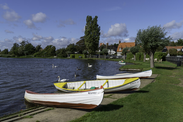 Thorpeness, 28th September 2019 Picture Board by Andrew Sharpe