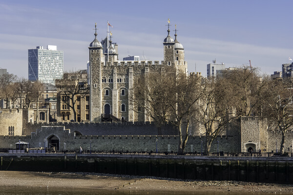 The White Tower, Tower of London Picture Board by Andrew Sharpe