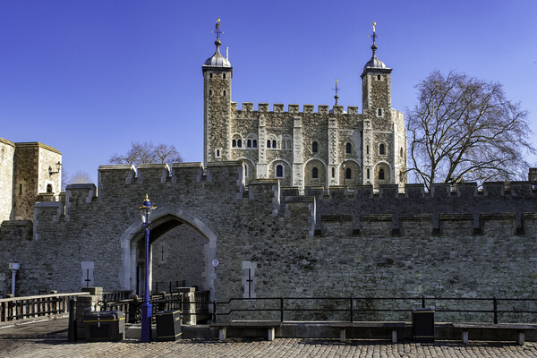 The White Tower, Tower of London Picture Board by Andrew Sharpe