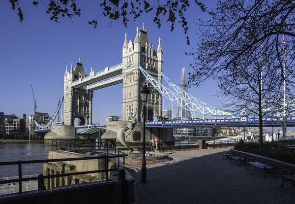 Tower Bridge, London Picture Board by Andrew Sharpe