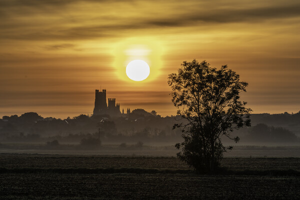 Daybreak over Ely, 21st September 2021 Picture Board by Andrew Sharpe