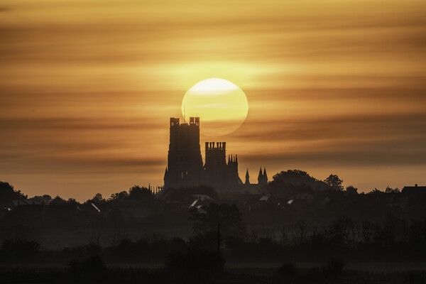Glowing Ely Cathedral at Sunrise Picture Board by Andrew Sharpe