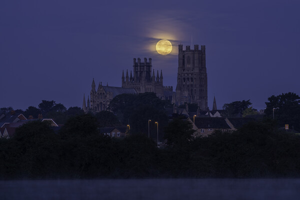 Harvest Moon setting over Ely Cathedral, 21st September 2021 Picture Board by Andrew Sharpe