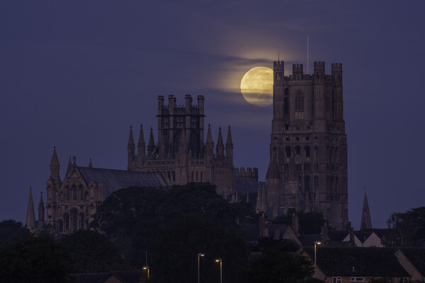 Harvest Moon setting over Ely Cathedral, 21st September 2021 Picture Board by Andrew Sharpe