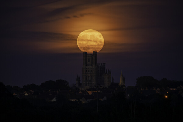 Moonrise behind Ely Cathedral, 21st September 2021 Picture Board by Andrew Sharpe