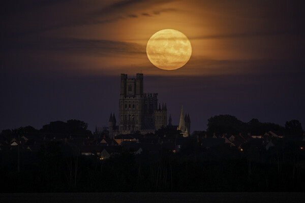 Moonrise behind Ely Cathedral, 21st September 2021 Picture Board by Andrew Sharpe