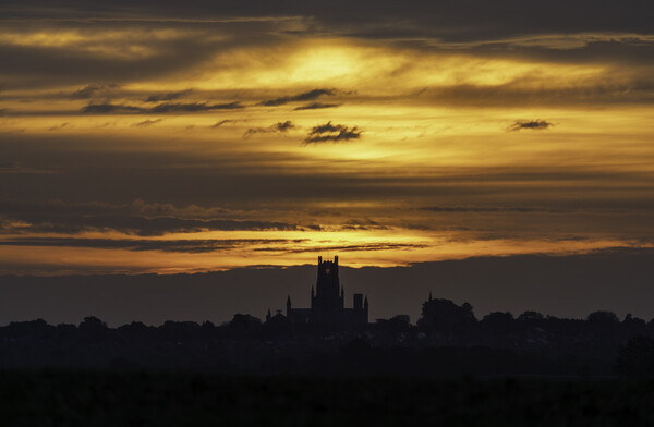 Dawn over Ely Cathedral, 12th October 2021 Picture Board by Andrew Sharpe