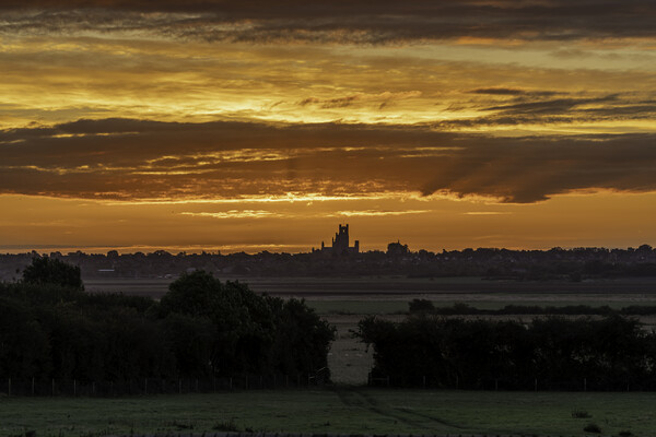 Sunrise over Ely, as seen from Coveney, 22nd Octob Picture Board by Andrew Sharpe