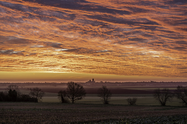 Pre-dawn over Ely, Cambridgeshire Picture Board by Andrew Sharpe