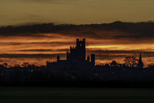 Pre-dawn glow over Ely, Cambridgeshire, 29th January 2022 Picture Board by Andrew Sharpe
