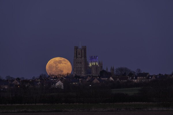 Worm Moon rising behind Ely Cathedral, 18th March 2022 Picture Board by Andrew Sharpe