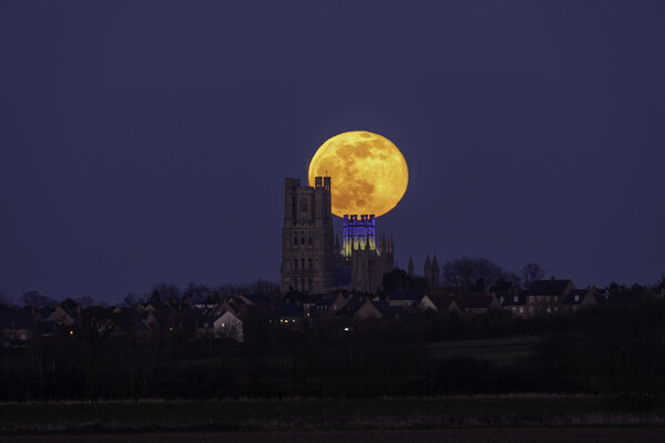 Worm Moon rising behind Ely Cathedral, 18th March 2022 Picture Board by Andrew Sharpe