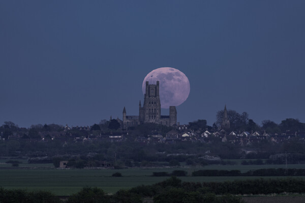 Full moon rising behind Ely Cathedral, 16th April 2022 Picture Board by Andrew Sharpe