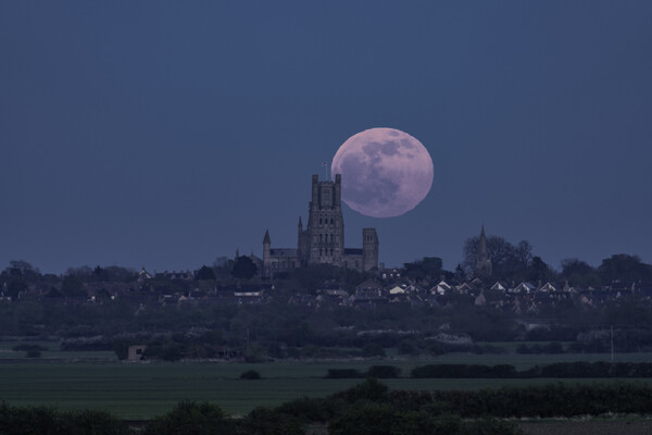 Full moon rising behind Ely Cathedral, 16th April 2022 Picture Board by Andrew Sharpe