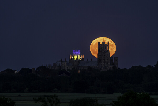Strawberry Moon rising behind Ely Cathedral, 14th June 2022 Picture Board by Andrew Sharpe