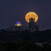 Buy canvas prints of Strawberry Moon rising behind Ely Cathedral, 14th June 2022 by Andrew Sharpe
