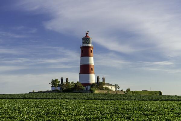 Happisburgh lighthouse, in evening light, 21st June 2022 Picture Board by Andrew Sharpe