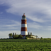 Buy canvas prints of Happisburgh lighthouse, in evening light, 21st June 2022 by Andrew Sharpe