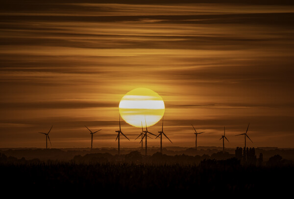 Sunset behind Tick Fen windfarm, Cambridgeshire, 7th August 2022 Picture Board by Andrew Sharpe
